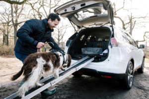 Nissan X-Trail 4Dogs: un’auto tutta per la famiglia News Fuoriorario