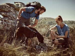 Porta in vacanza il tuo cucciolo, al resto ci pensa BMW Active News Fuoriorario