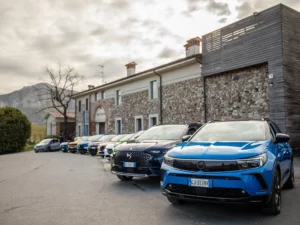 Stellantis Fleet & Business Solutions