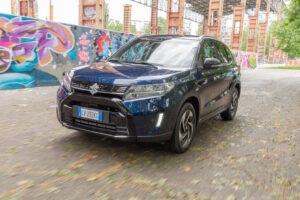 Niova Vitara ibrida