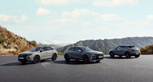 DS PERFORMANCE